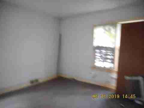 8266 Badger (16)_m.jpg